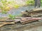 A pile of planks in the open air on the river Bank. A variety of boards, partitions and logs are piled in a pile, white and red