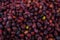 Pile of plums, plum background