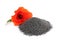 Pile of poppy seeds and flower isolated