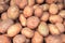 Pile of potato closeup image. Brown and yellow vegetables picture.
