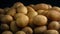 Pile Of Potatoes On Black Background