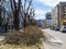 Pile of pruned tree branches stacked on a wide road dividing lane. Springtime pruning of bare trees on the street