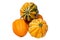 Pile of pumpkins. Close-up of a stack decorative colorful pumpkins isolated on a white background. Space for design. Macro