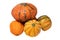Pile of pumpkins. Close-up of a stack decorative colorful pumpkins isolated on a white background. Space for design. Macro