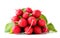 Pile radishes with leaves close-up on a white background. Isolated