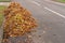 Pile of raked leaves on a street