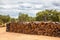 Pile of raw cork drying in the sun