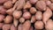 Pile of raw organic sweet potato, food background