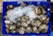 A pile of raw oyster and an oyster in a blue color bucket in a wet market. Raw oysters in the shell Close up of a pile of freshly