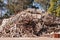 Pile of raw timber for recycling