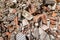 Pile of Red Brick and Cement After Destroyed Building. Piece of Brick  Wall are Crumbling from Demolished