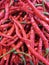 A pile of red curly chilies in the Rebo traditional market, Bekasi City area