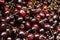 Pile of red dark cherries