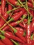 Pile of red hot chilli peppers with green stem for mexican food. Healthy organic capsicum vegetables for asian inspired cooking.