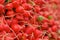 Pile of red radishes