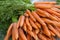 Pile of ripe carrots
