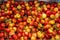 Pile of ripe Rainier cherries