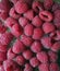 Pile of Ripe rasberry fruit horizontal close up background. macro shot of Bunch of fresh rasberries fruits