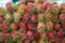 Pile of ripe sweet reddish rambutan fruit with pliable green hair in local market