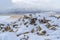 Pile of rocks covered in snow against Lowe Peak