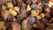 A pile of rotten, moldy pears. Mildew on Fruits. Food loss and waste. Damage to the fruit crop. Food loss at the