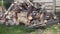 Pile of round cuts of tree wood. The logs are sawed from the trunks of birch stacked in a pile. Birch firewood, closeup panning