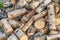 Pile of round cuts of tree wood. The logs are sawed from the trunks of birch stacked in a pile. Birch firewood, closeup photo