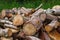 Pile of round cuts of tree wood. The logs are sawed from the trunks stacked in a pile. Birch firewood, closeup