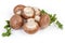 Pile of royal champignon mushrooms with parsley on white background