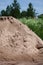 A pile of sand poured into a meadow for construction