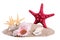 Pile of sand with seashells and starfish