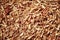 Pile of sawdust macro. Closeup image of wooden filings.