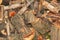 A pile of sawed firewood for heating in winter. Stockpile of firewood during the energy crisis