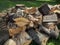 A pile of sawn and chopped logs lie on the grass next to the stump. Logging, firewood preparation. Natural background