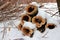 pile of a section of snow covered tree trunks with a fallen core