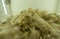 The pile of sheep wool in close up.