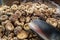 Pile of shitake mushrooms on  food market