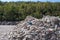 Pile of shreded trash at a disposal site  with trees and bushes int he background