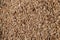 A pile of small sawdust and wood shavings. Abstract textured background for wallpaper in the form of a pattern