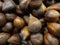 pile of snakefruit on supermarket shelf