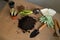 A pile of soil, garden tools, gloves, drainage and houseplants are ready to be transplanted into a new pot. Concept of plant care