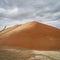 Pile of sorghum grain in Kansas
