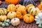 A pile of squash different color orange yellow green striped. Autumnal harvest of vegetables, ripe squash on a matting. Beautiful