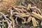 A pile of stacked firewood, prepared for heating the house,