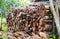 A pile of stacked firewood, prepared for heating the house, Firewood harvested for heating in winter, Chopped firewood on a stack,