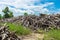 A pile of stacked firewood, prepared for heating the house, Firewood harvested for heating in winter, Chopped firewood on a stack,