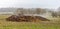 Pile of steaming manure in middle of field in English countryside