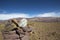 Pile of stones at the Quebrada de Humahuaca, Northern Argentina