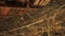 Pile of straw inside of a dark barn