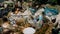 Pile of toxic plastic garbage, consumerism influence on nature, waste management